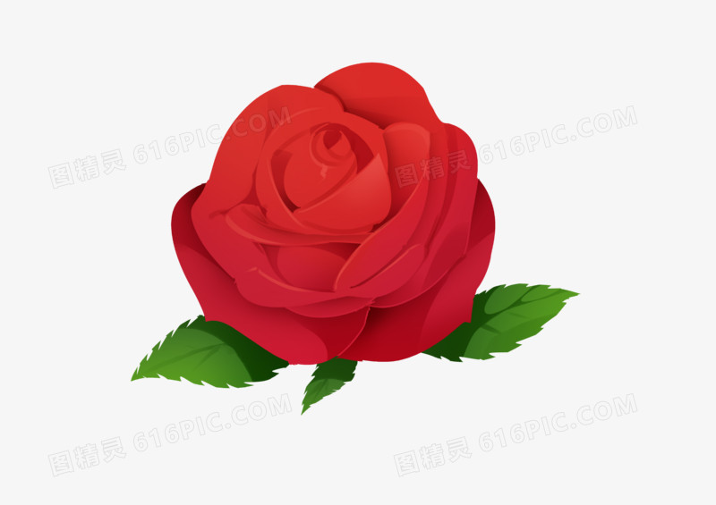 手绘卡通母亲节玫瑰花