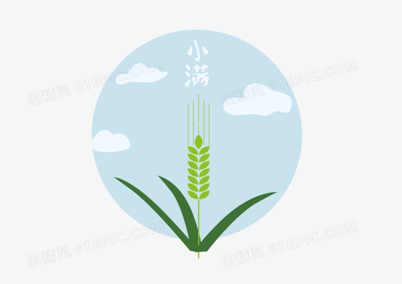 淡绿色手绘小麦矢量图
