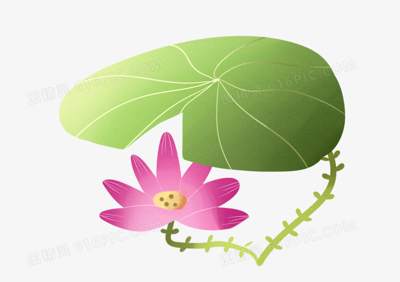 手绘卡通小清新水彩可爱绿色荷叶荷花夏至免扣
