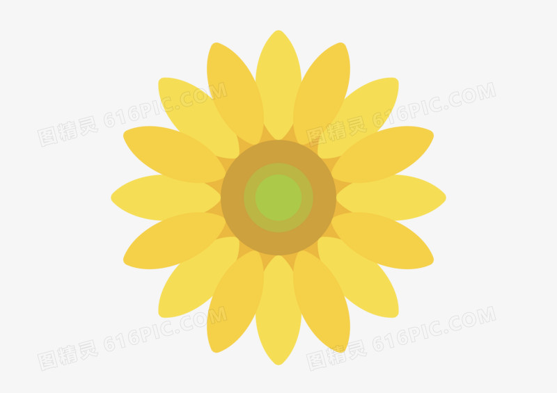 向日葵插画矢量精美