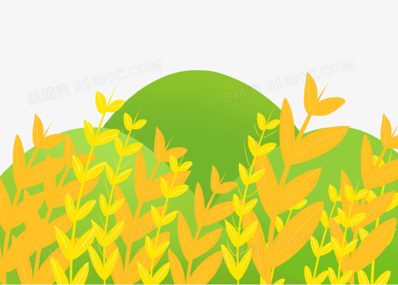 金黄麦子清新素材芒种插画素材