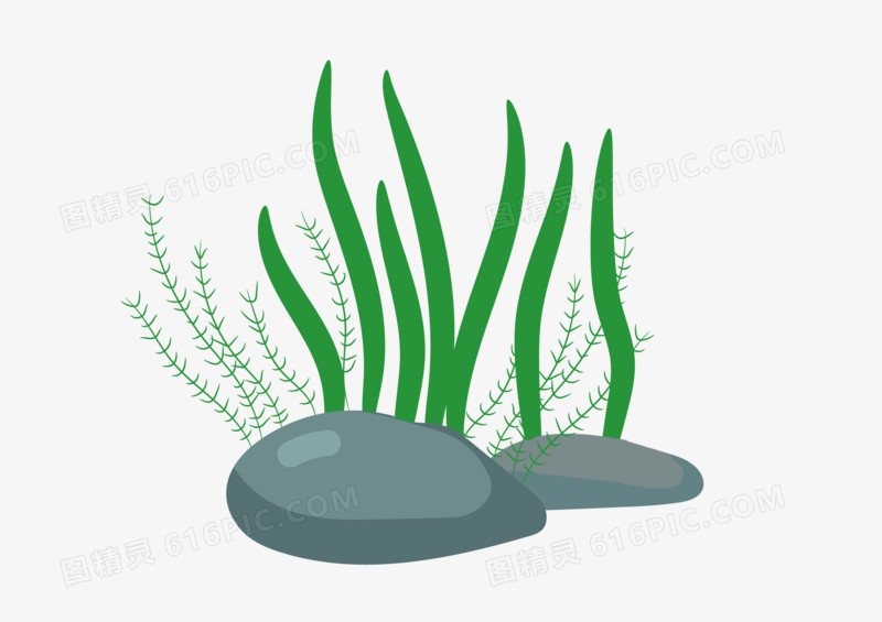 手绘水生植物水草矢量图