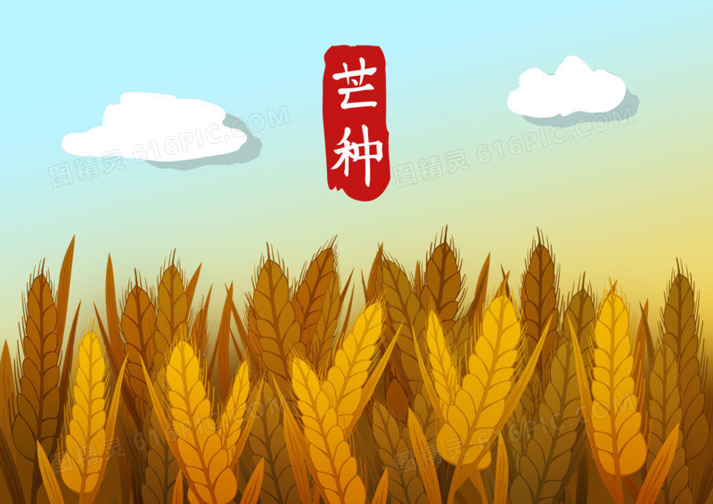  彩色芒种节气手绘风背景插画