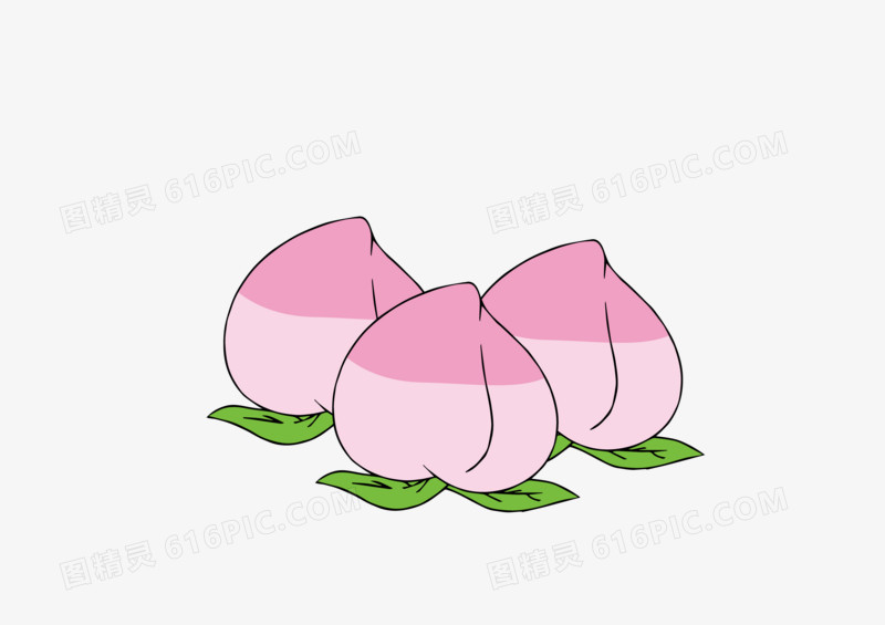 手绘桃子水果矢量图