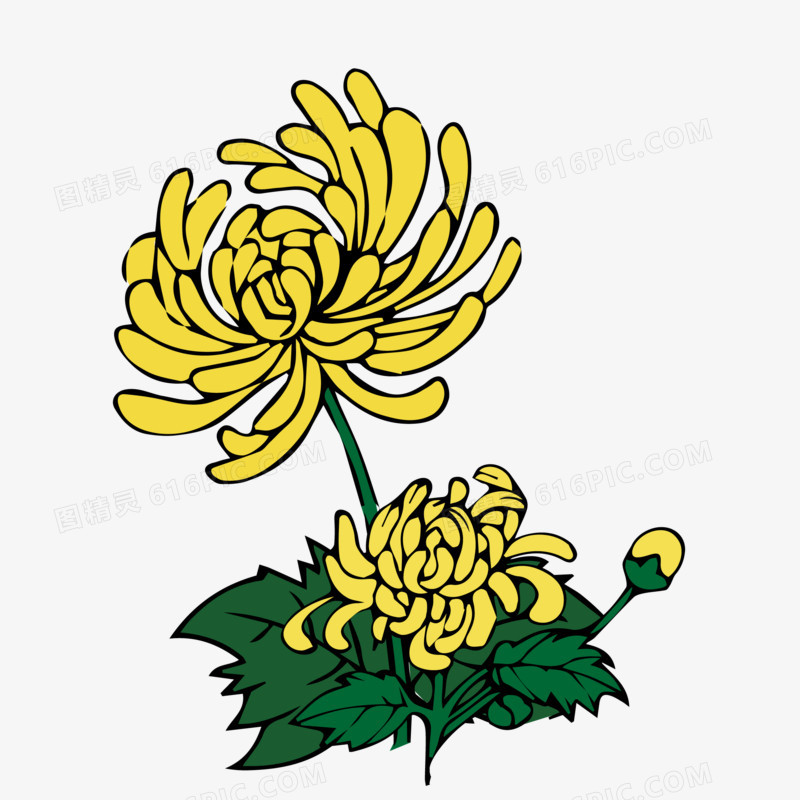 秋季菊花矢量图插画素材