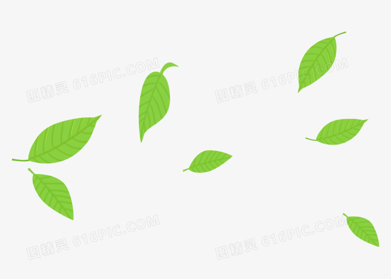 元素叶子小清新手绘树叶植物枫叶简约装饰绿色