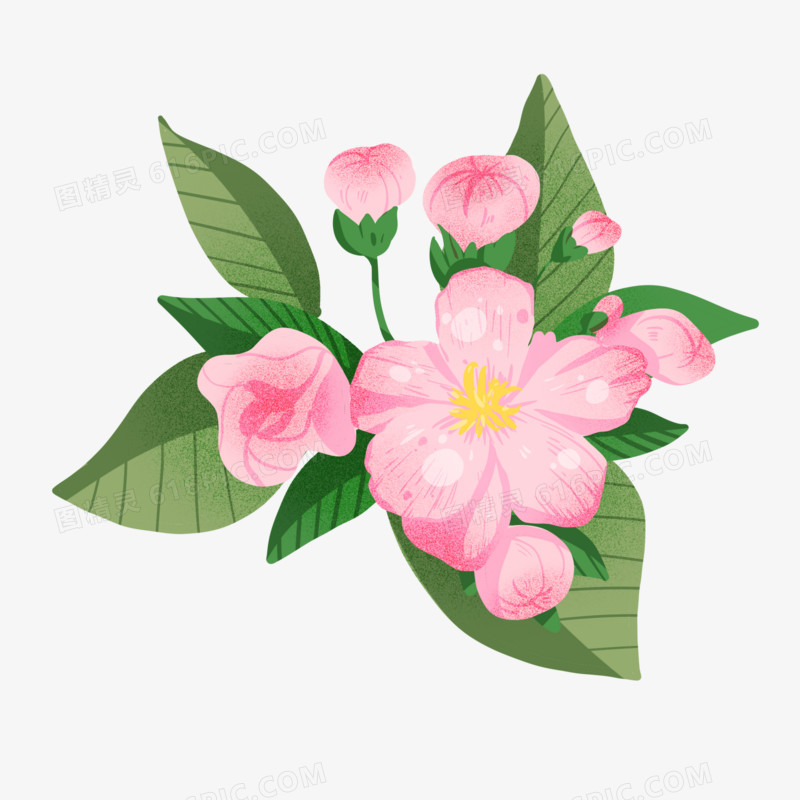 手绘粉色樱花树枝花朵元素