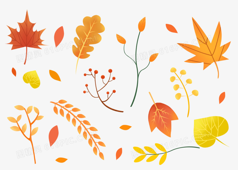 通用秋天立秋秋分枫叶卡通手绘黄色系植物叶子元素