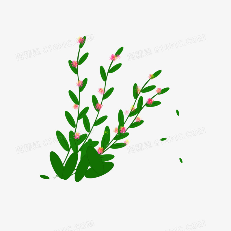 植物花草树叶子插画元素