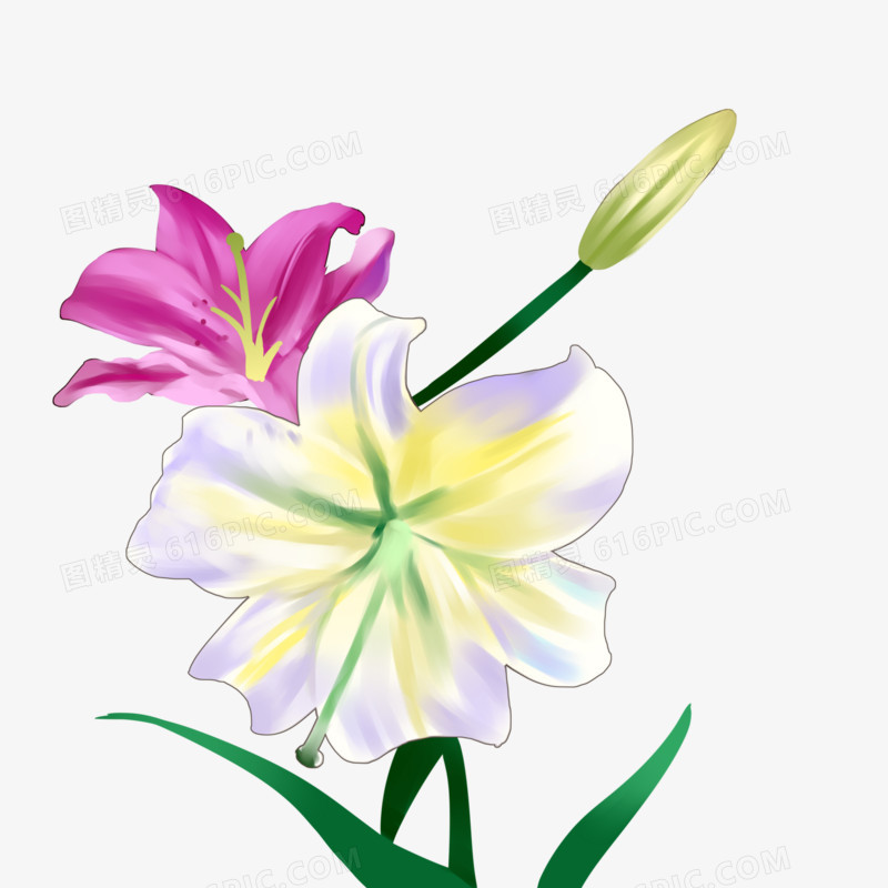 花朵飘香散开千里芬芳