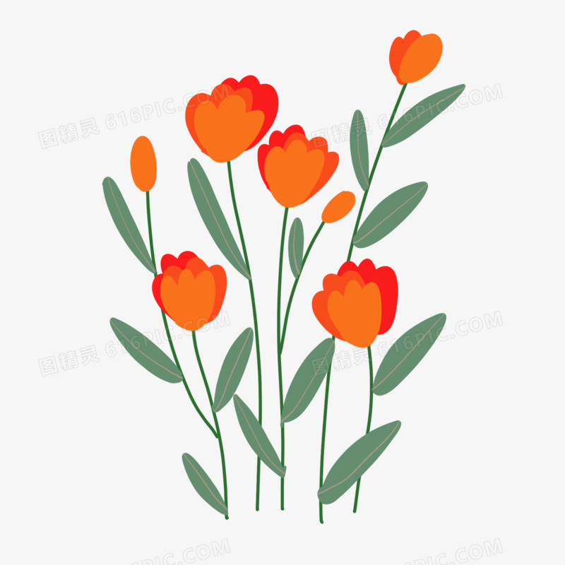 手绘花朵植物绿植免抠元素