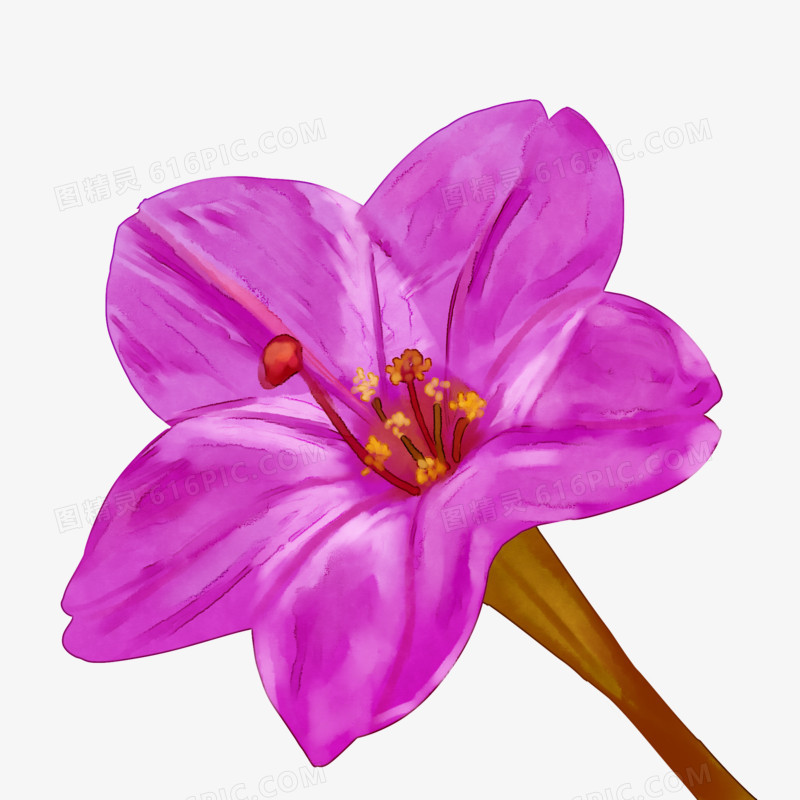 花朵开放的时候