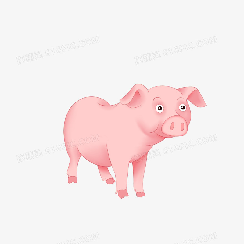 动物类粉色小猪