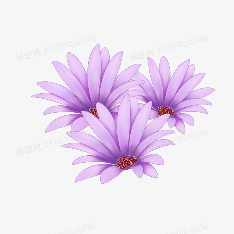 可爱唯美小清新小紫花