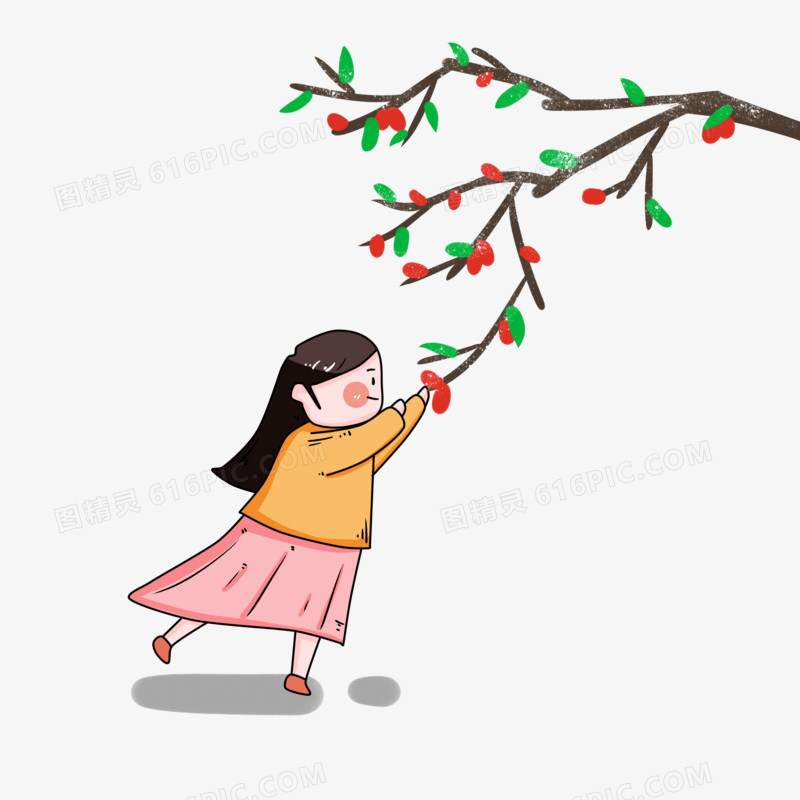 卡通女孩霜降摘枣子插画