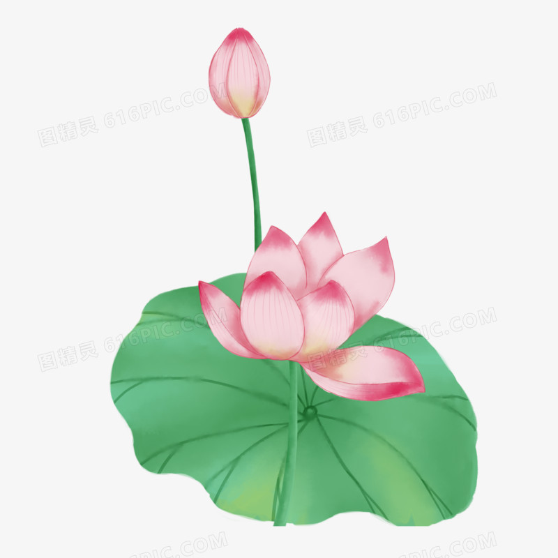 唯美水墨风荷花图