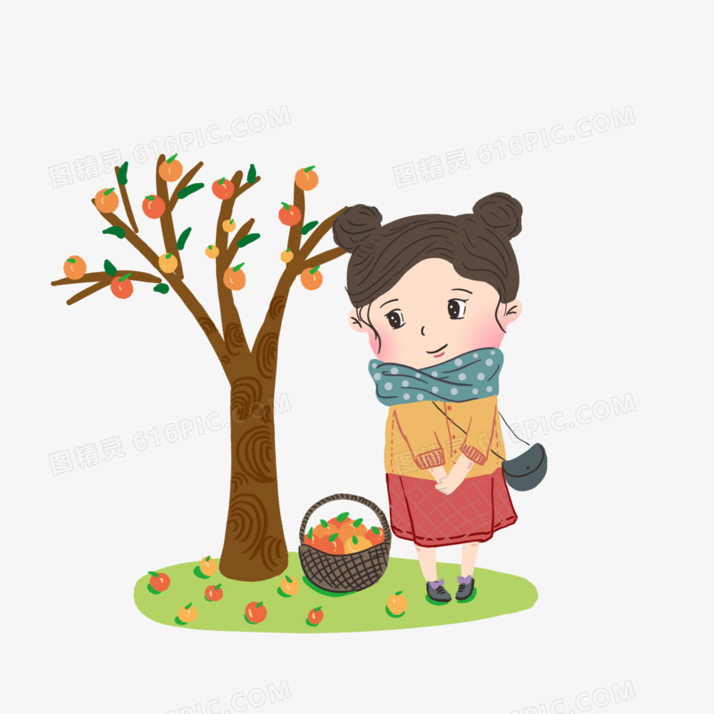 霜降可爱女孩摘柿子