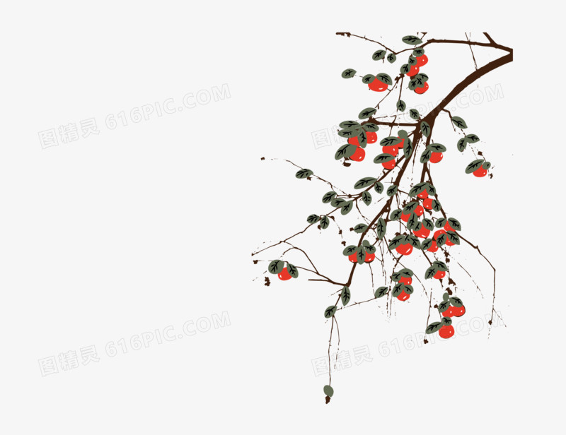 手绘秋季柿子树枝叶素材插画