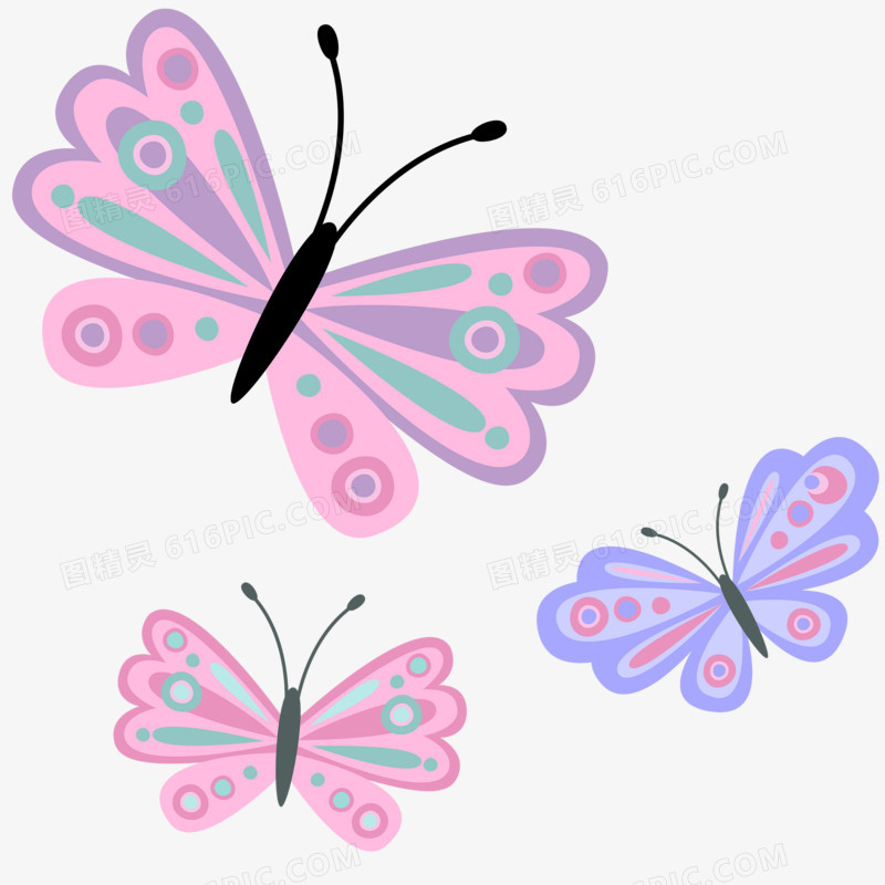 粉色和蓝色的蝴蝶