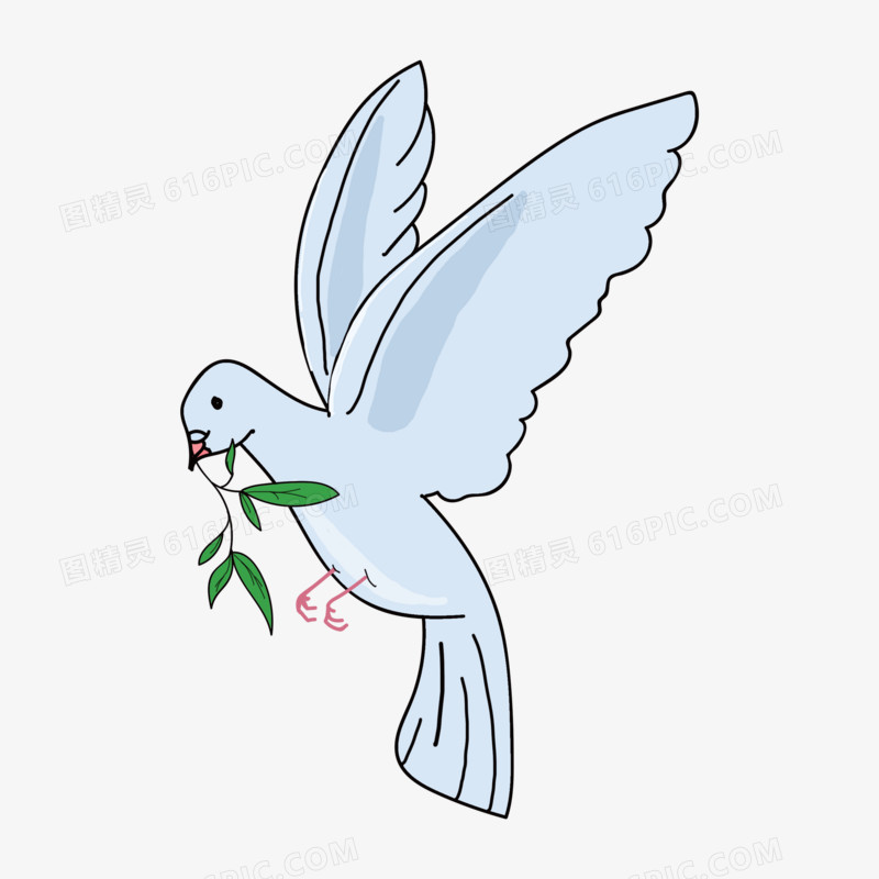 白鸽鸟类手绘设计