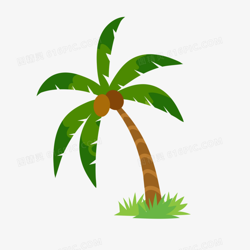矢量夏季绿色植物椰子树椰子png免抠