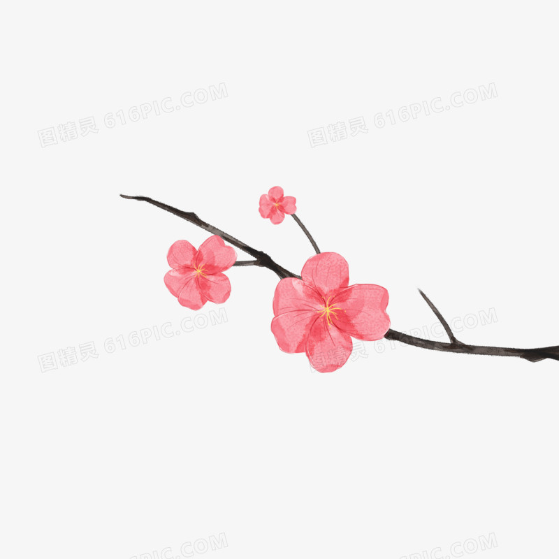 冬天手绘小清晰水彩梅花