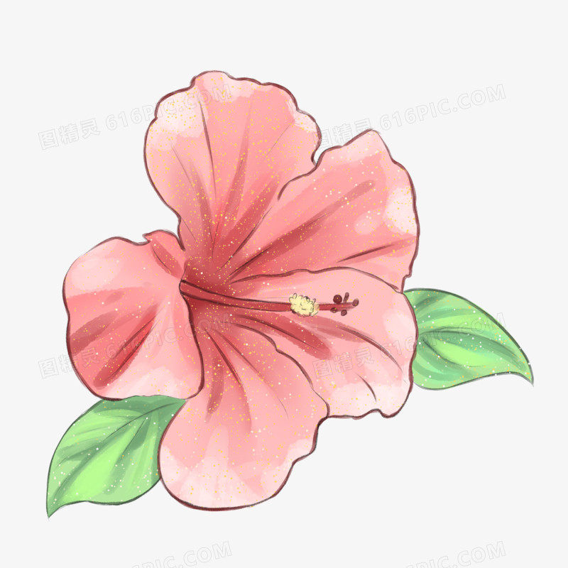 手绘水彩植物花卉