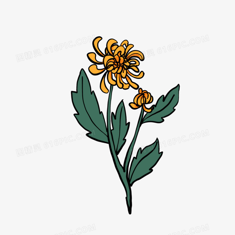 手绘卡通菊花元素