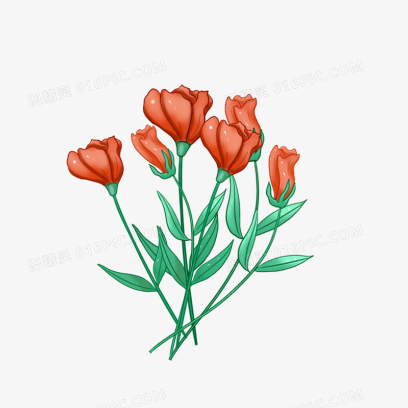 红色花卉插画素材