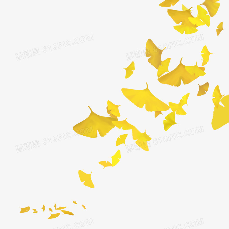 手绘水彩深秋散落的银杏叶