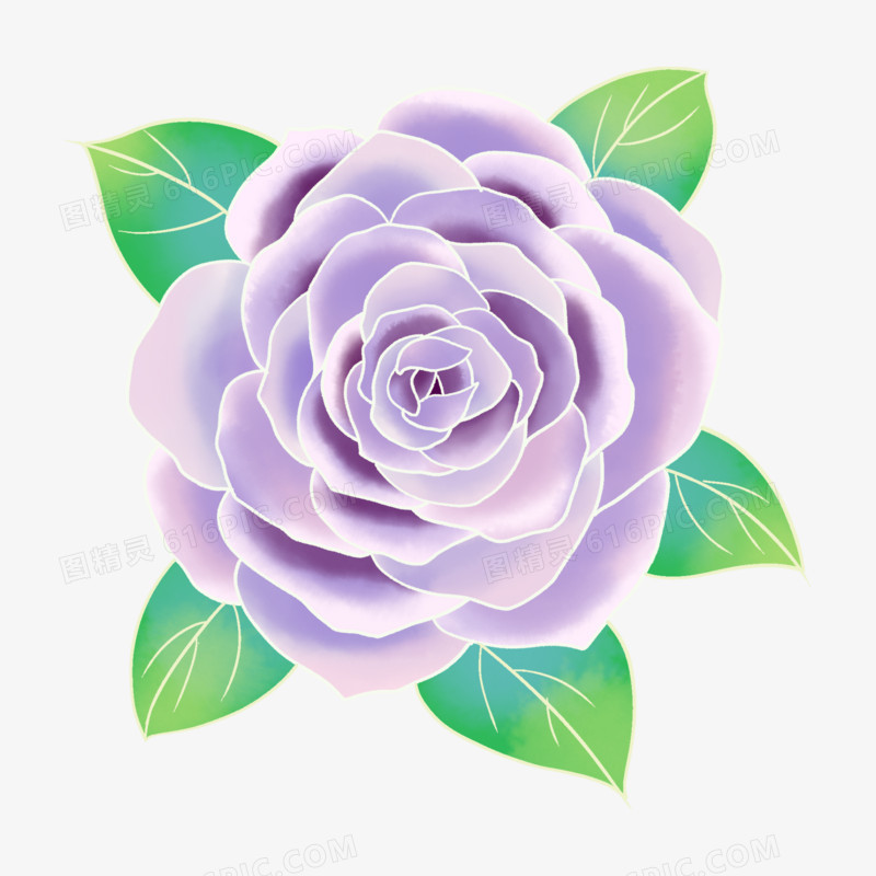 淡紫色水彩玫瑰花