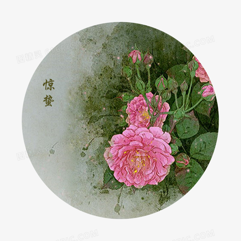 二十四节气花卉之惊蛰蔷薇花