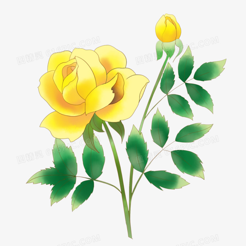 水彩淡雅黄色玫瑰花