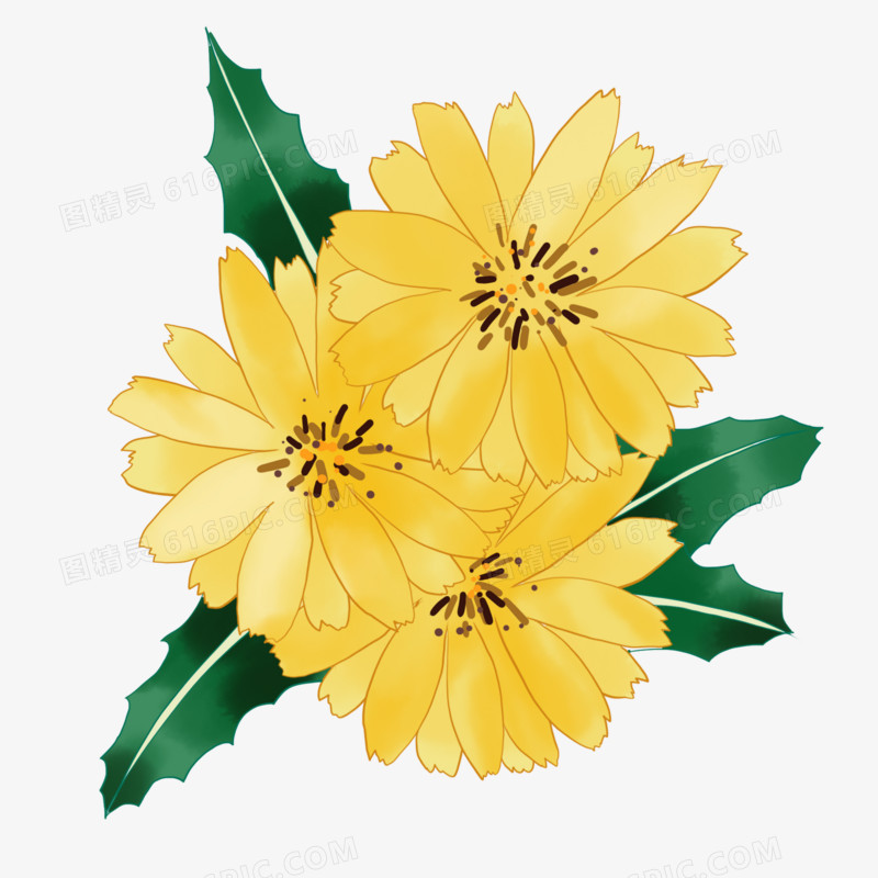 水彩淡雅金黄色雏菊
