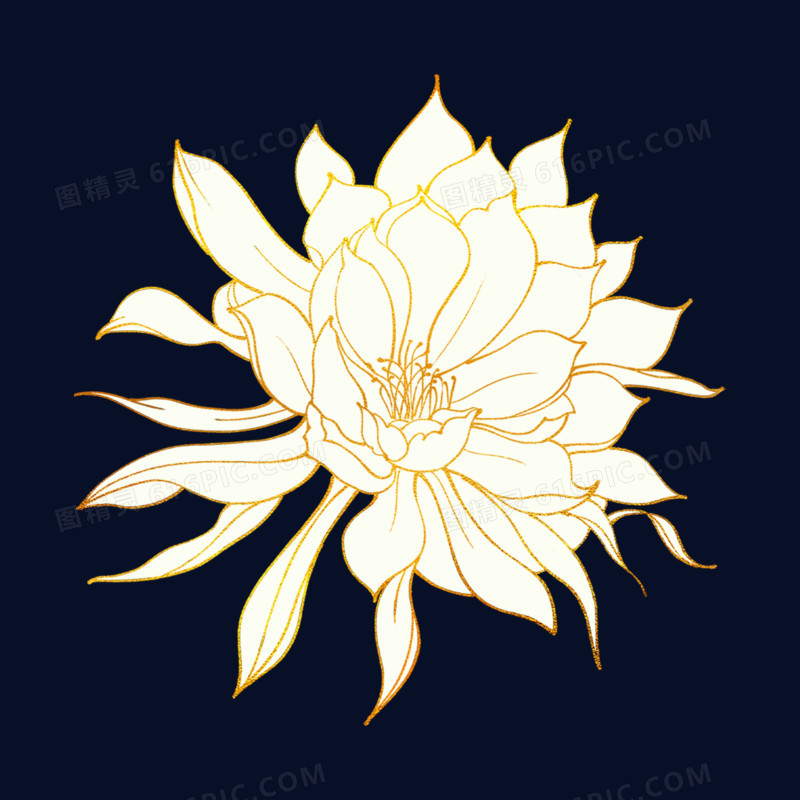 中式花卉手绘元素