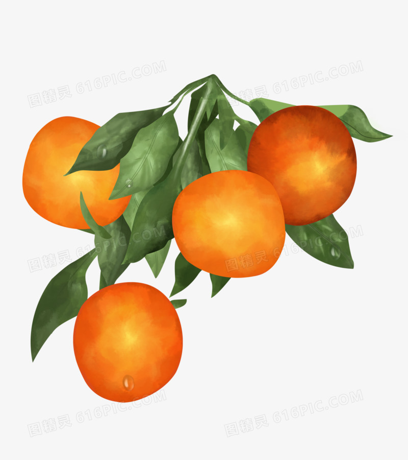 手绘卡通冬季水果橘子