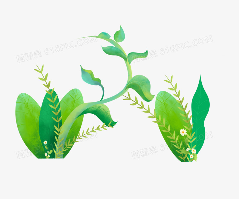 清新绿色植物手绘设计