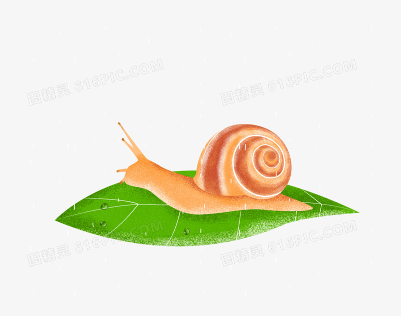 雨水之手绘卡通动物蜗牛