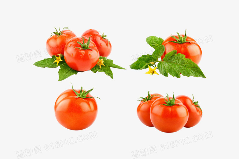 蔬菜西红柿高清免抠元素