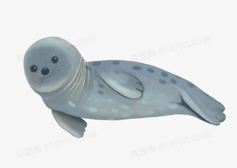 插画写实海洋动物海豹元素