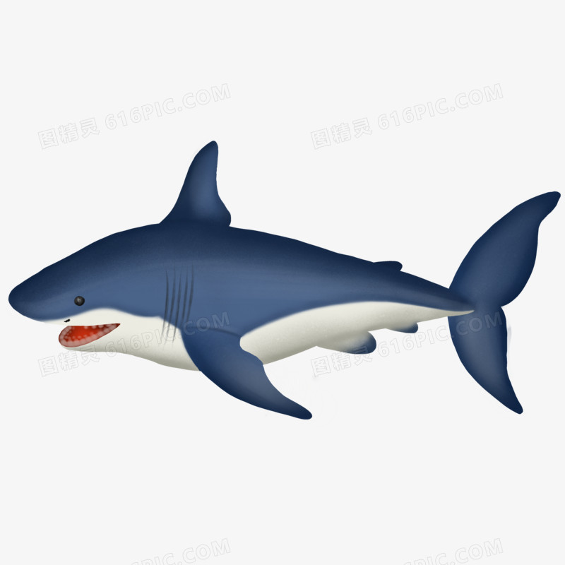 卡通海底生物鲨鱼元素