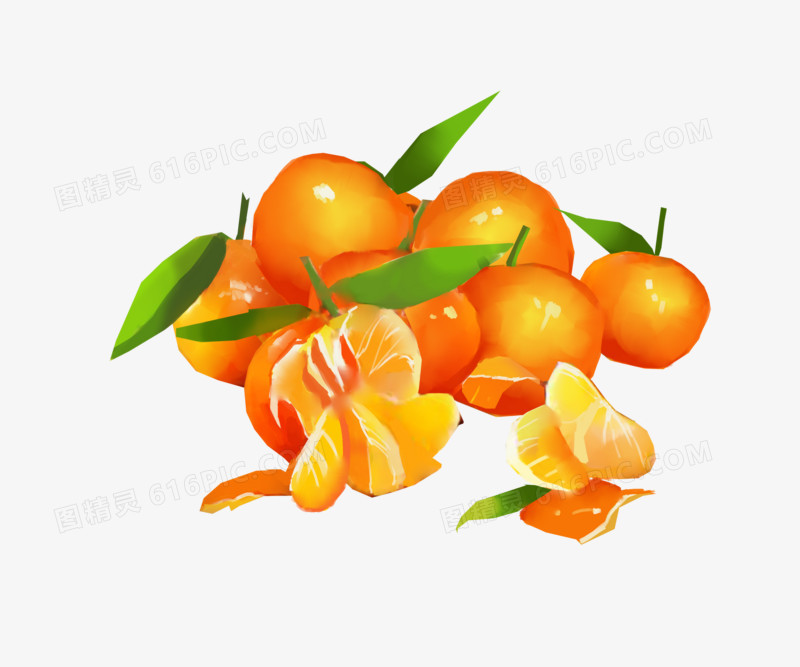 手绘水彩橘子元素