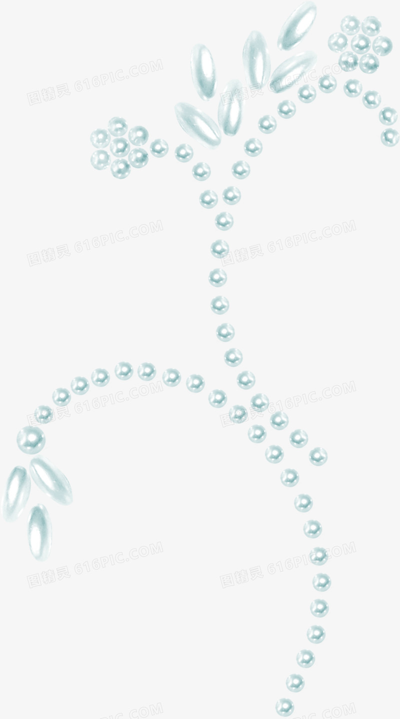 珍珠花卉