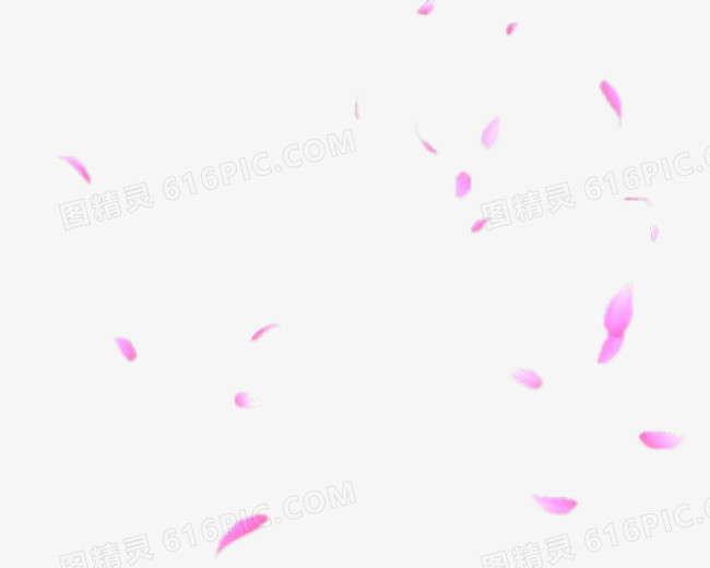 粉色梦幻漂浮花瓣设计