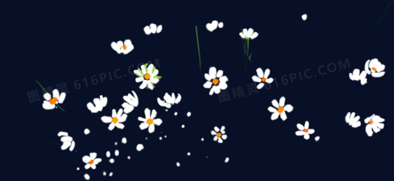 手绘清新白色小花植物