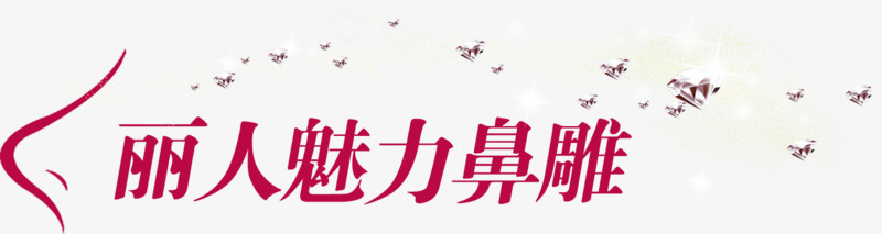 丽人魅力鼻雕艺术字
