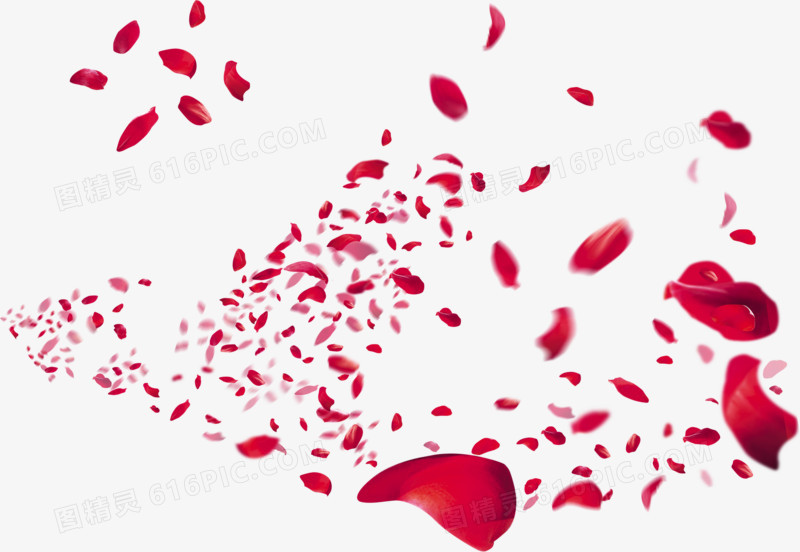 红色玫瑰花瓣宣传主页