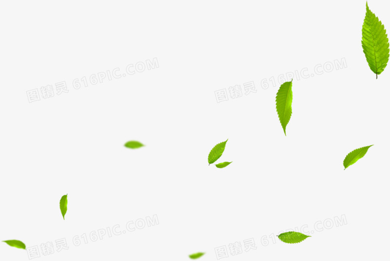 绿色卡通树叶漂浮植物