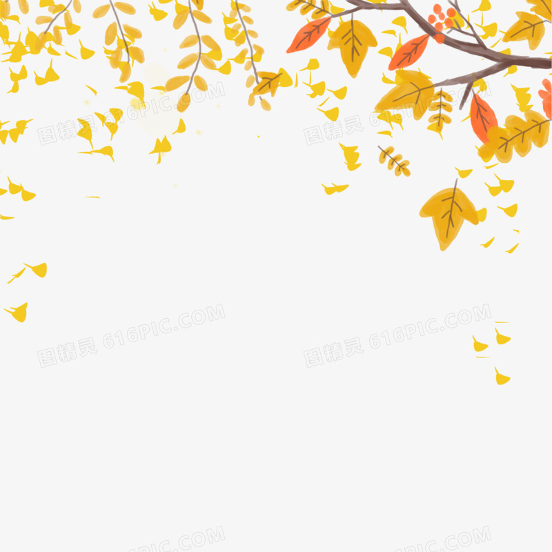秋天金黄色的落叶免抠素材