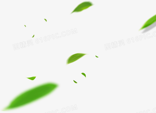 漂浮的绿叶装饰